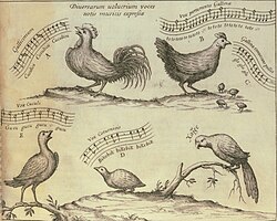 Birdsong