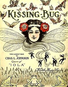 insects